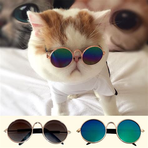 cats eye sunglasses for sale